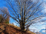 Monte VACCAREGGIO (1474 m) da Lavaggio di Dossena il 27 dicembre 2023 - FOTOGALLERY